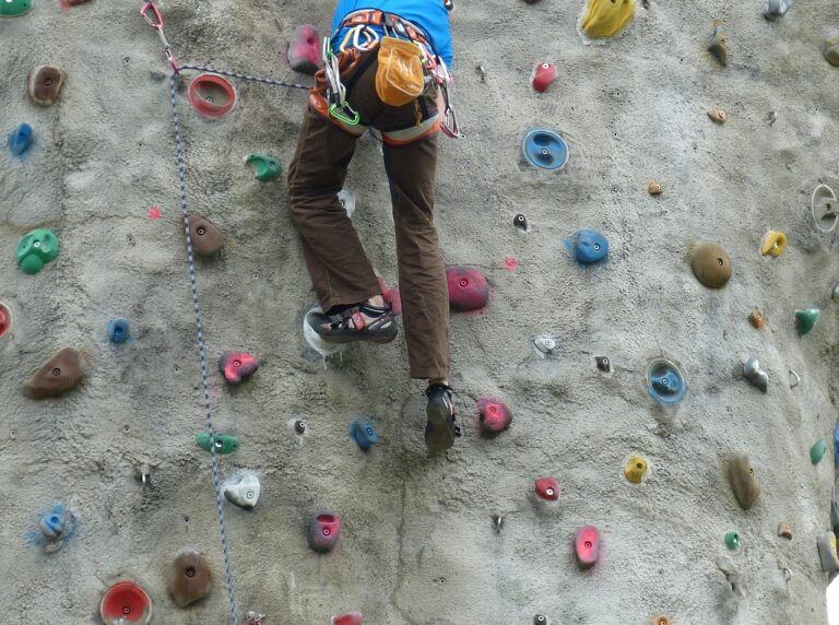 What Types Of Holds Are Best For Practicing Crimping In Climbing Gyms ...